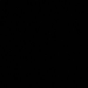 Meet your Posher, Marquez